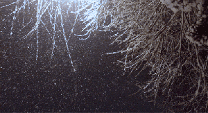snow-falling-through-light-gif
