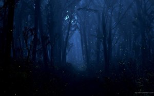 woods-at-night